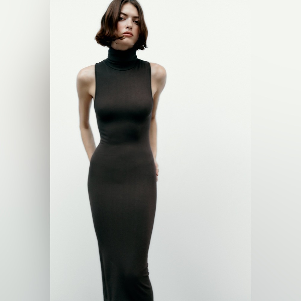 Zara xs s small extra small turtle neck sleeveless dress bodycon dress NWOT